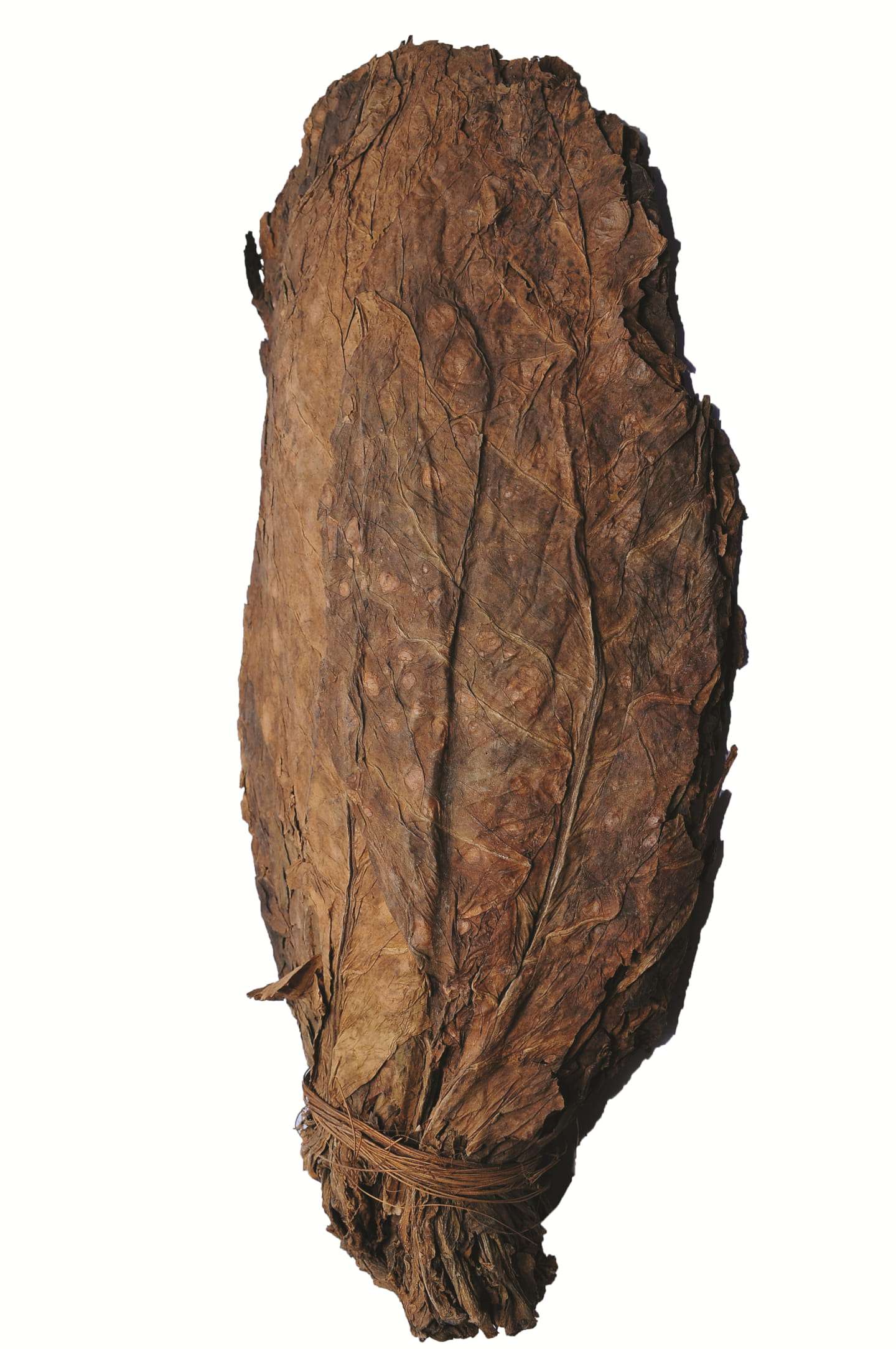 product 12